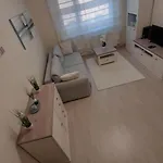 Feszek Apartment Gyor