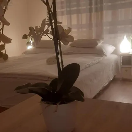 Feszek Apartamento