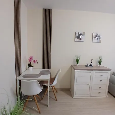 Feszek Apartment Gyor