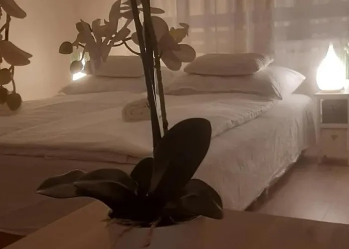 Fèszek Appartement