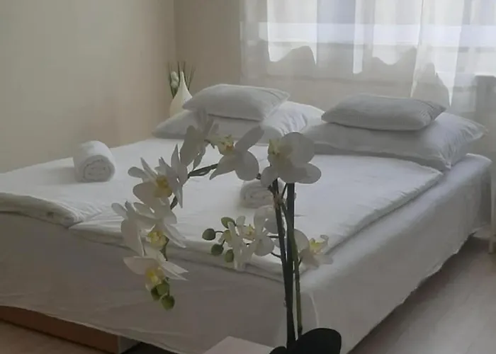 Fèszek Győr